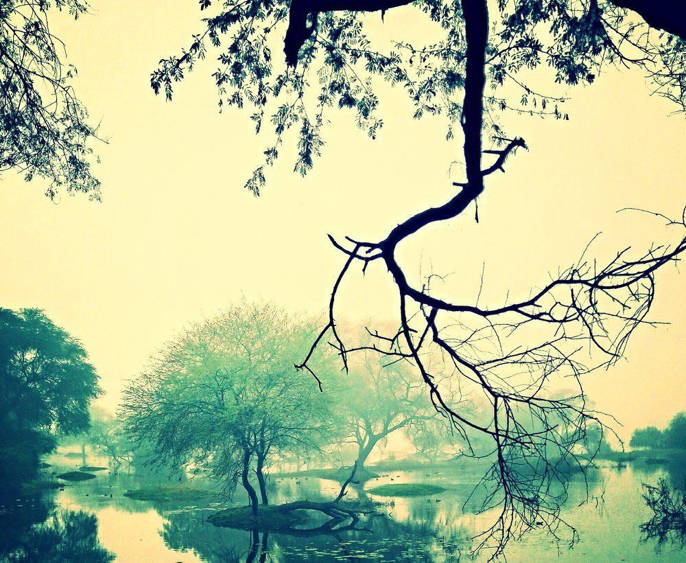 Nature art