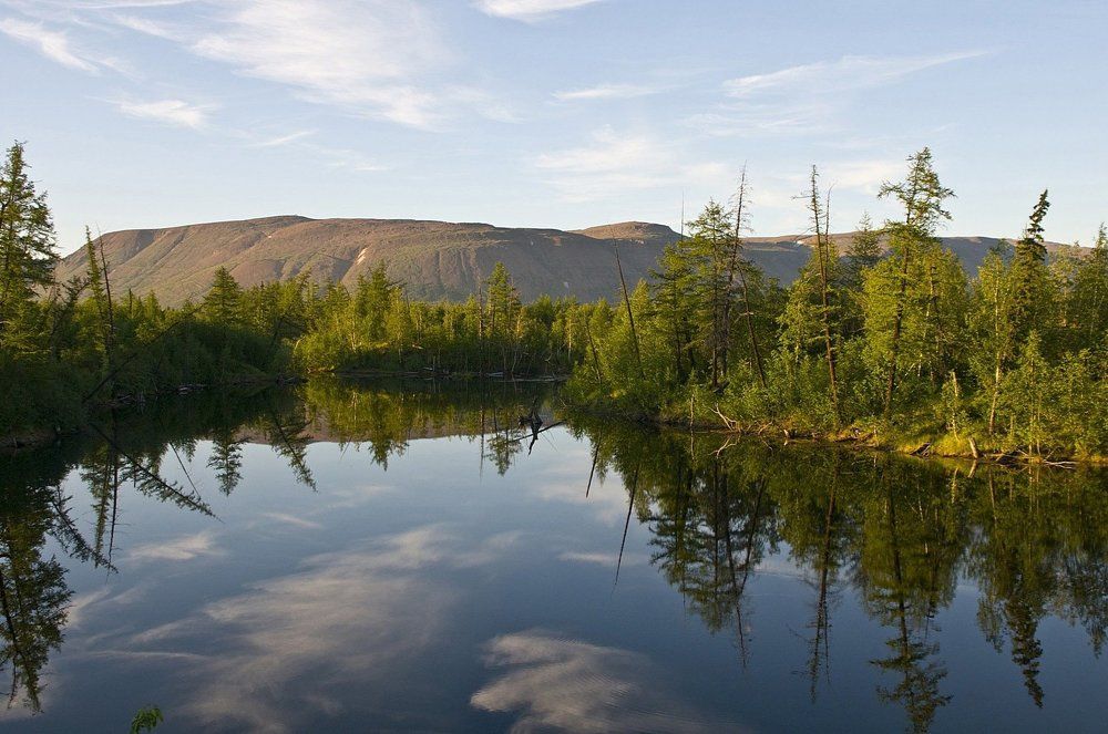 Летний Таймыр