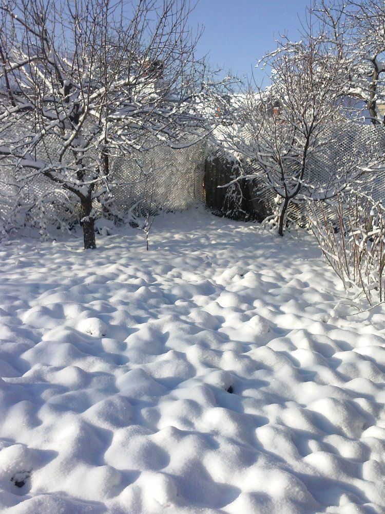 Снежное море