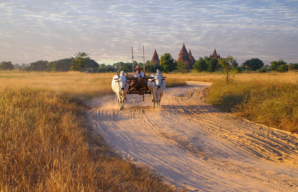 Между пагод...