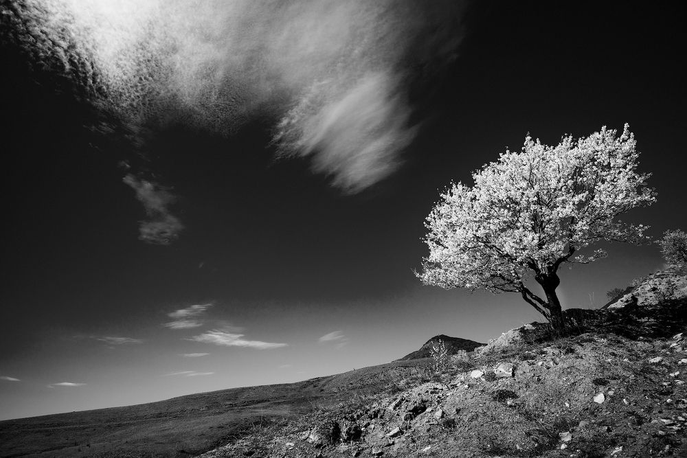 Противостояние