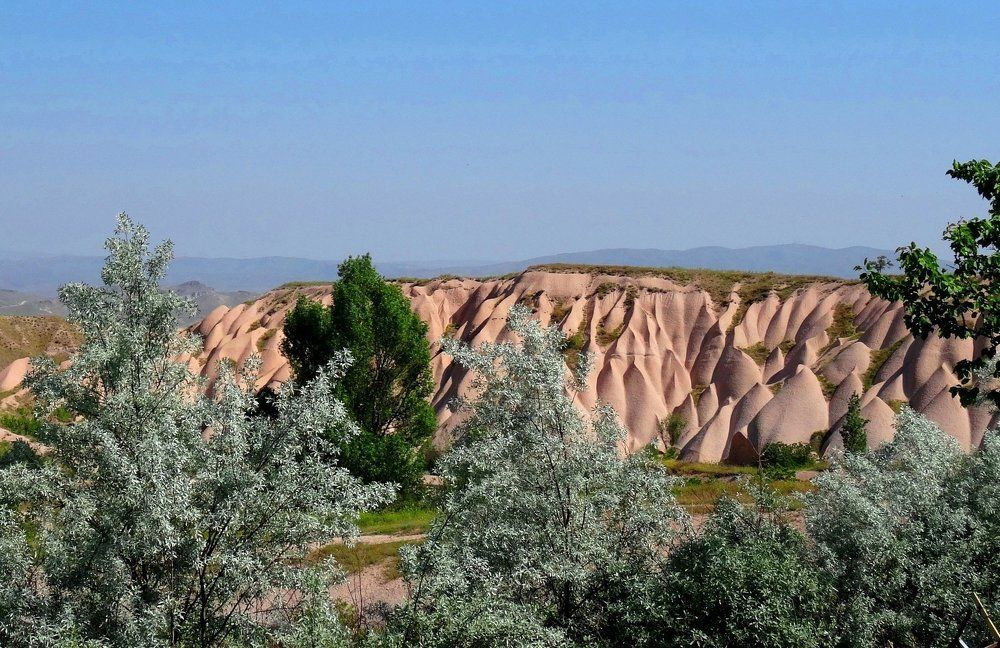 Photograph by Марина Раткун