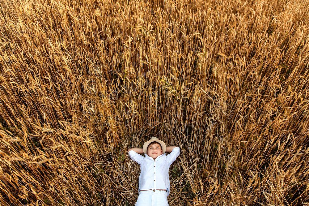 Сладкие мечты