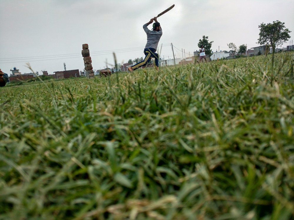 Cricket shot