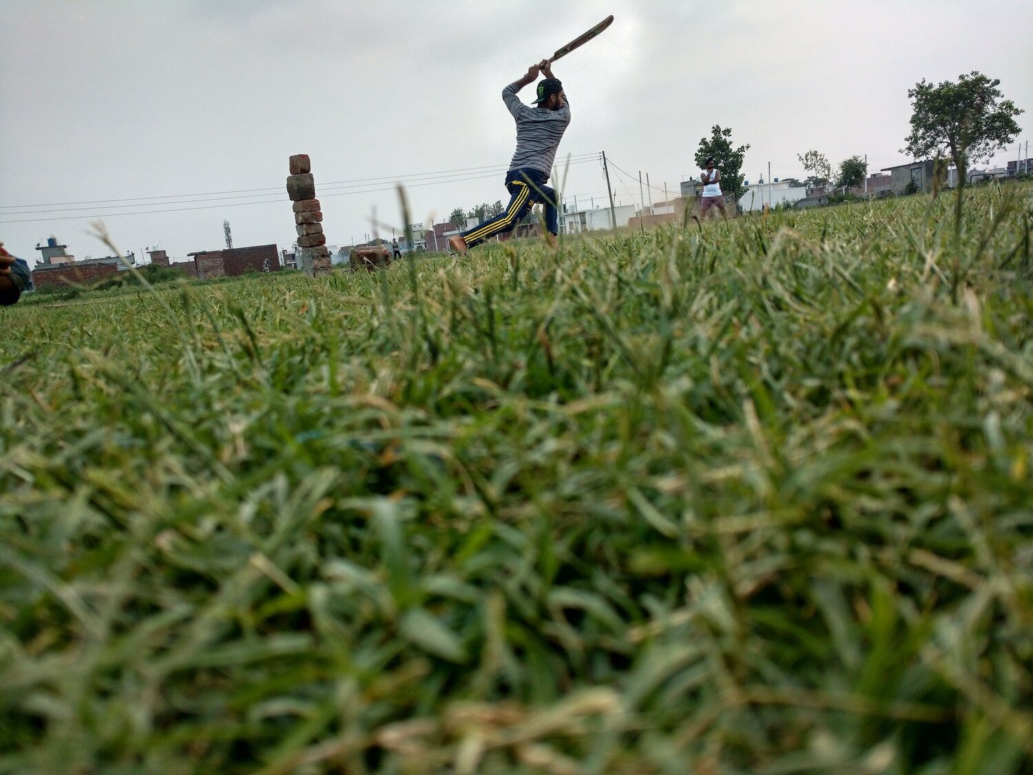 Cricket shot