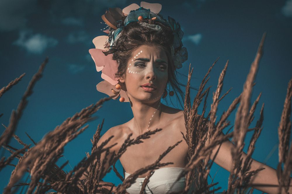 Полевые бабочки