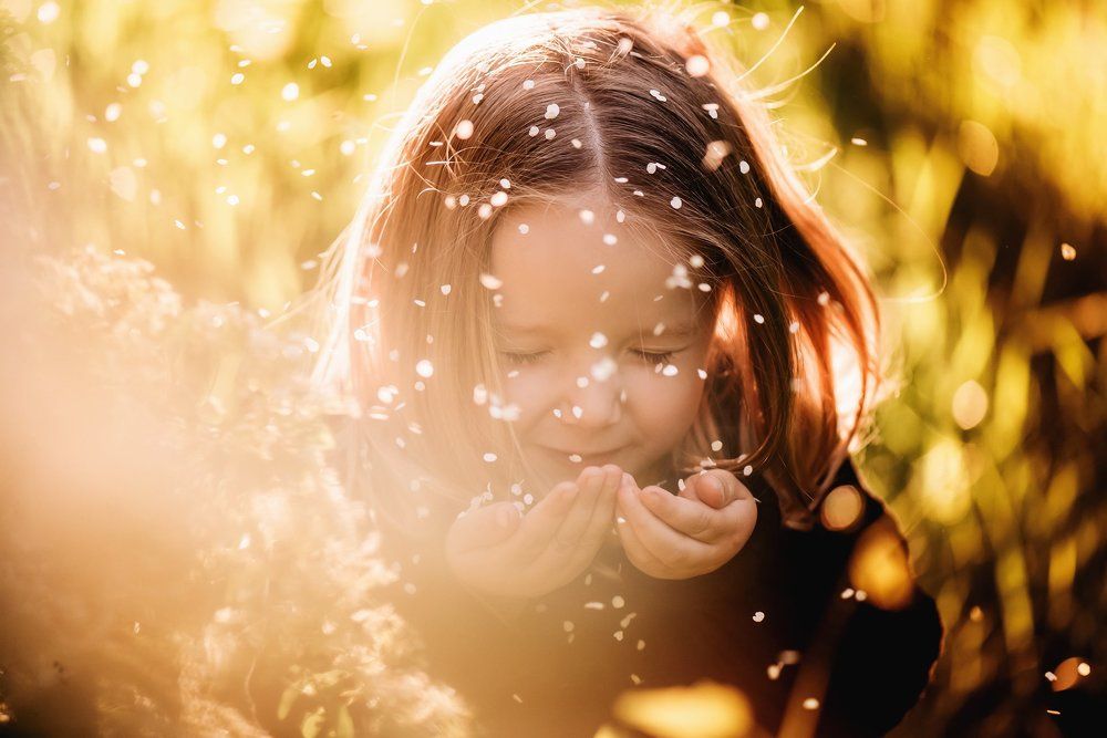 Волшебство в мелочах