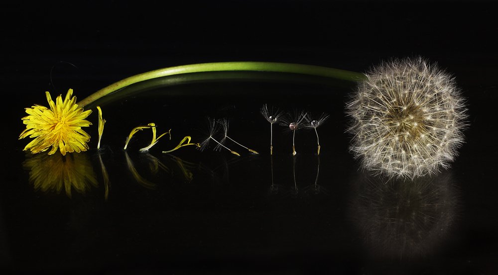 Photograph by Викулов Николай