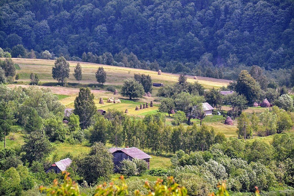 Photograph by Елена Боржковская