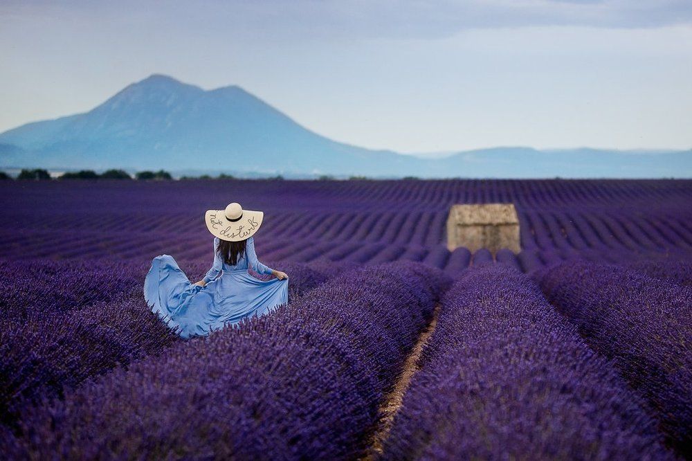 Утро в лаванде