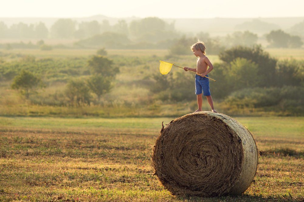 Photograph by Елена Шутяк