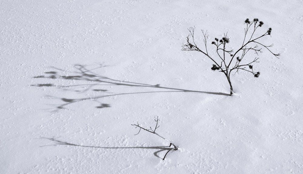 Я и моя тень