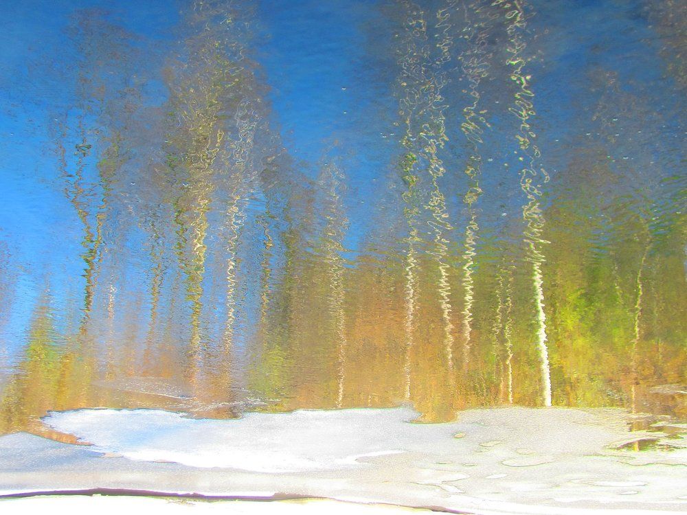 Весна в подводном царстве.