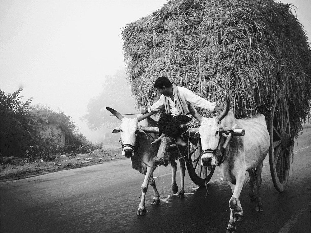 The Traditional transport