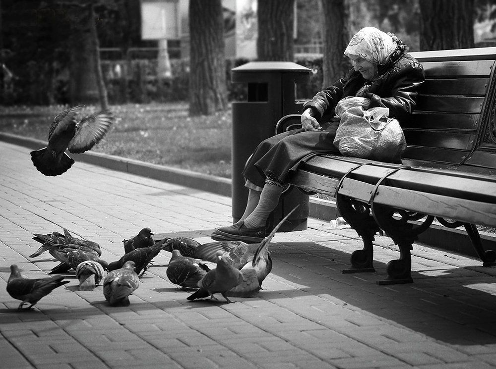 Man and doves.