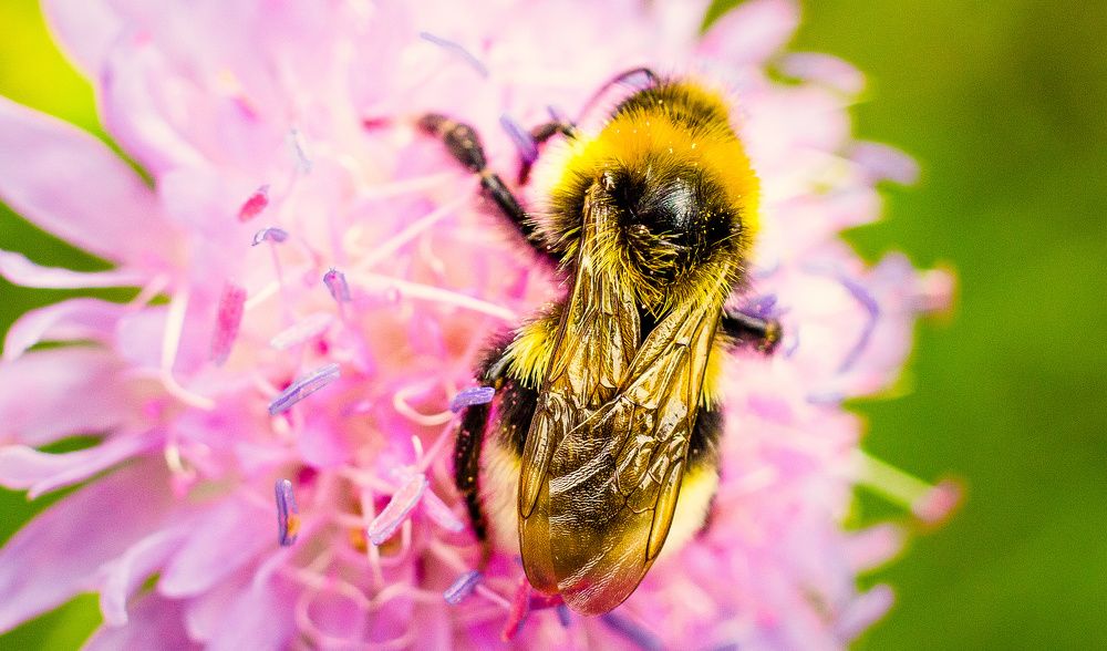 Photograph by Denis Sharkov