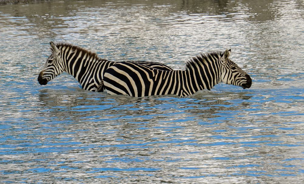 "Зеркальные"