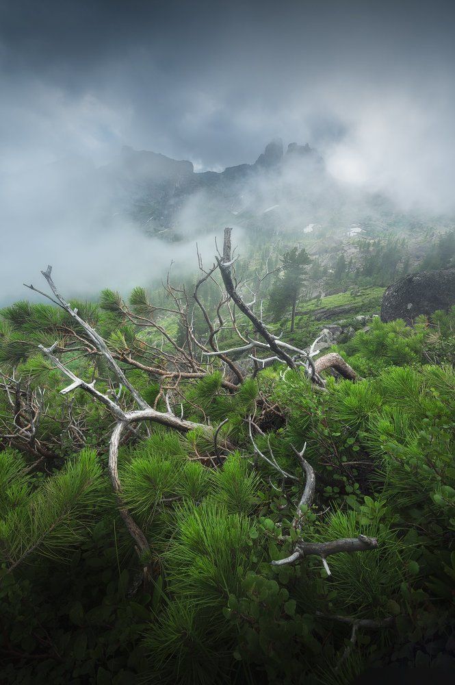 Горы в тумане