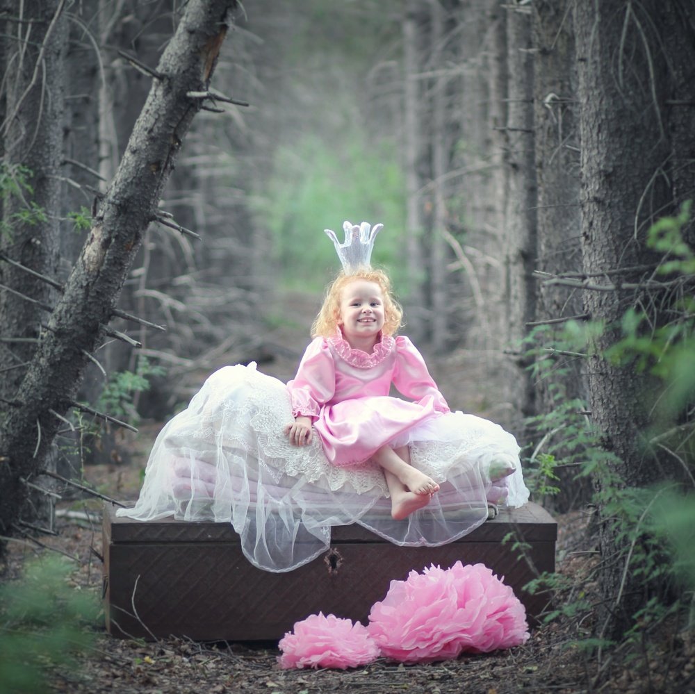 Моя маленькая принцесса