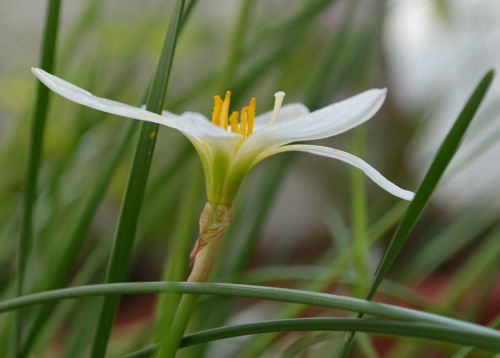 smilly...........with nature...............