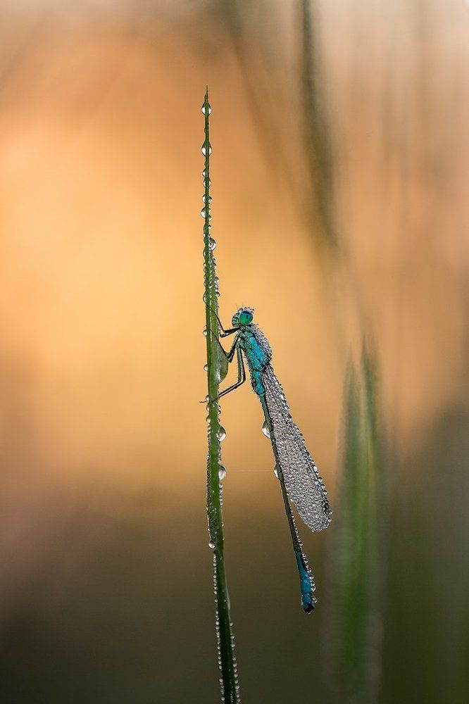 Стрелка ранним утром.
