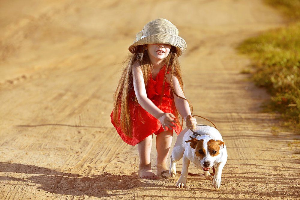 Фотография автора Светлана Мороз