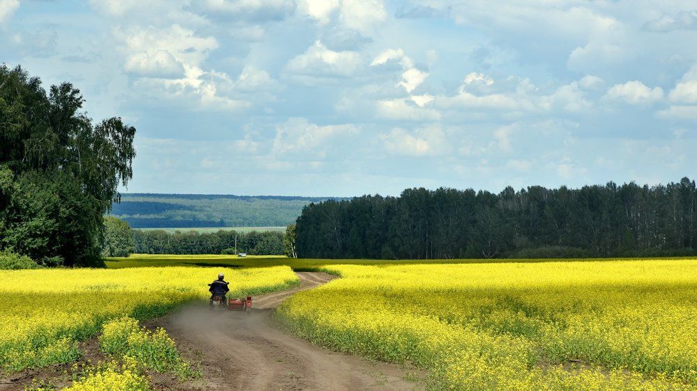 На дальней станции сойду