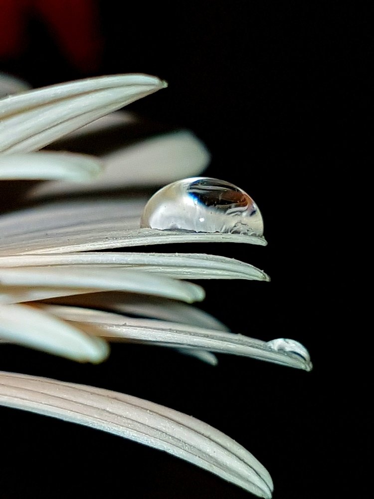 Water drop held high