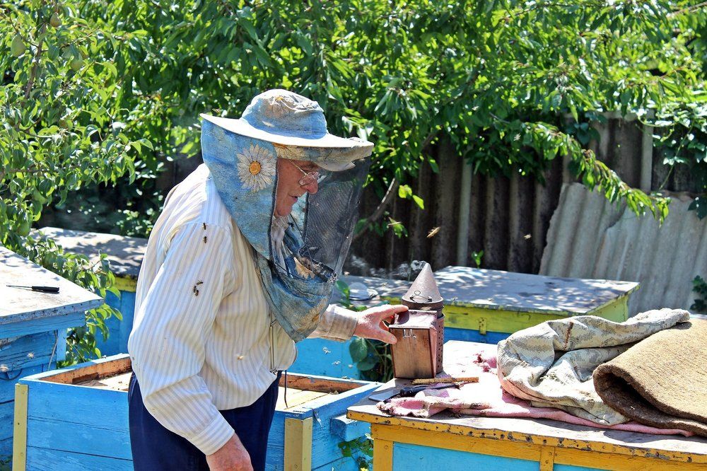 Пчеловод Василий Антонович