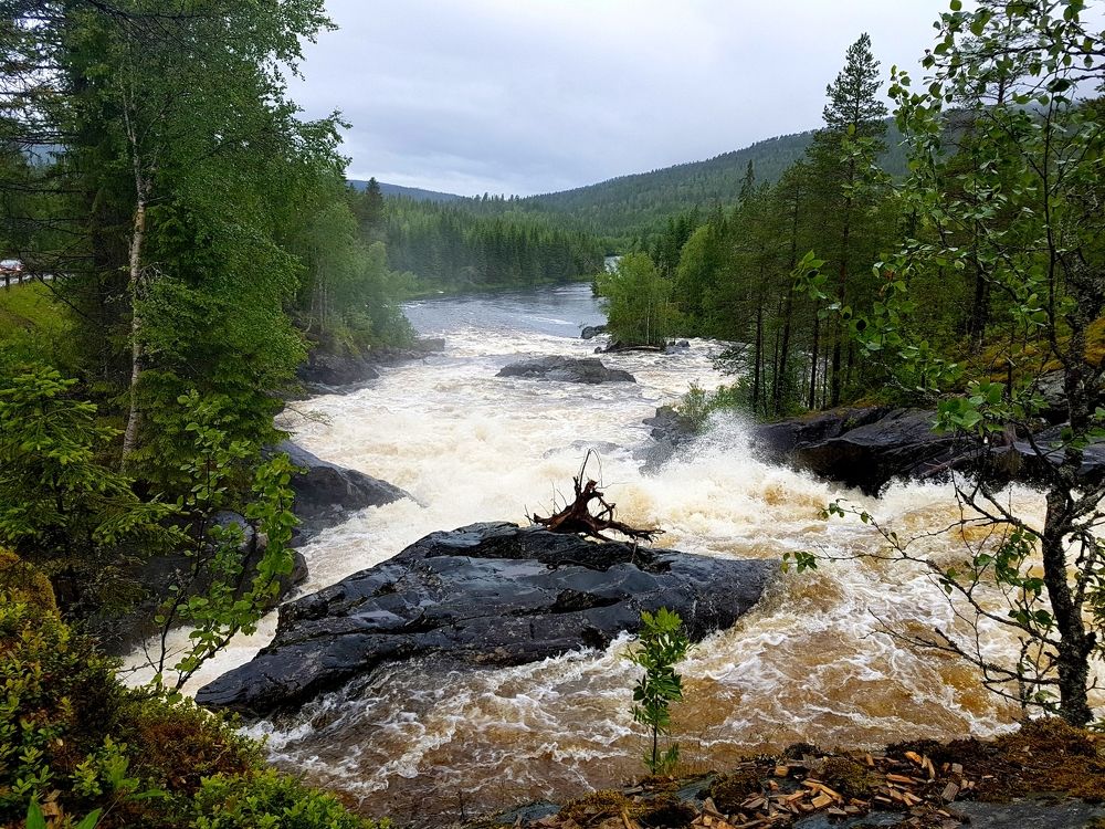 Photograph by Julija