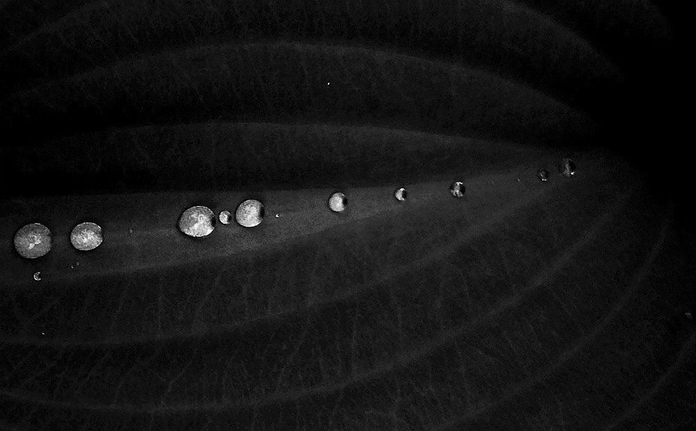 Фотография автора Владислава Андрюнина