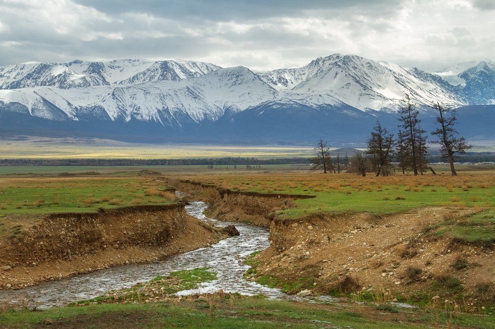 В майских красках Курая
