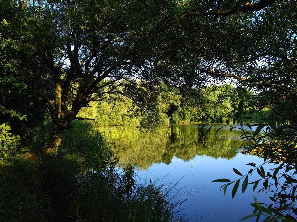 Монастырское озеро