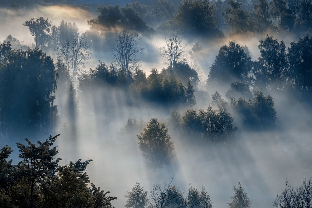 Истринский мист