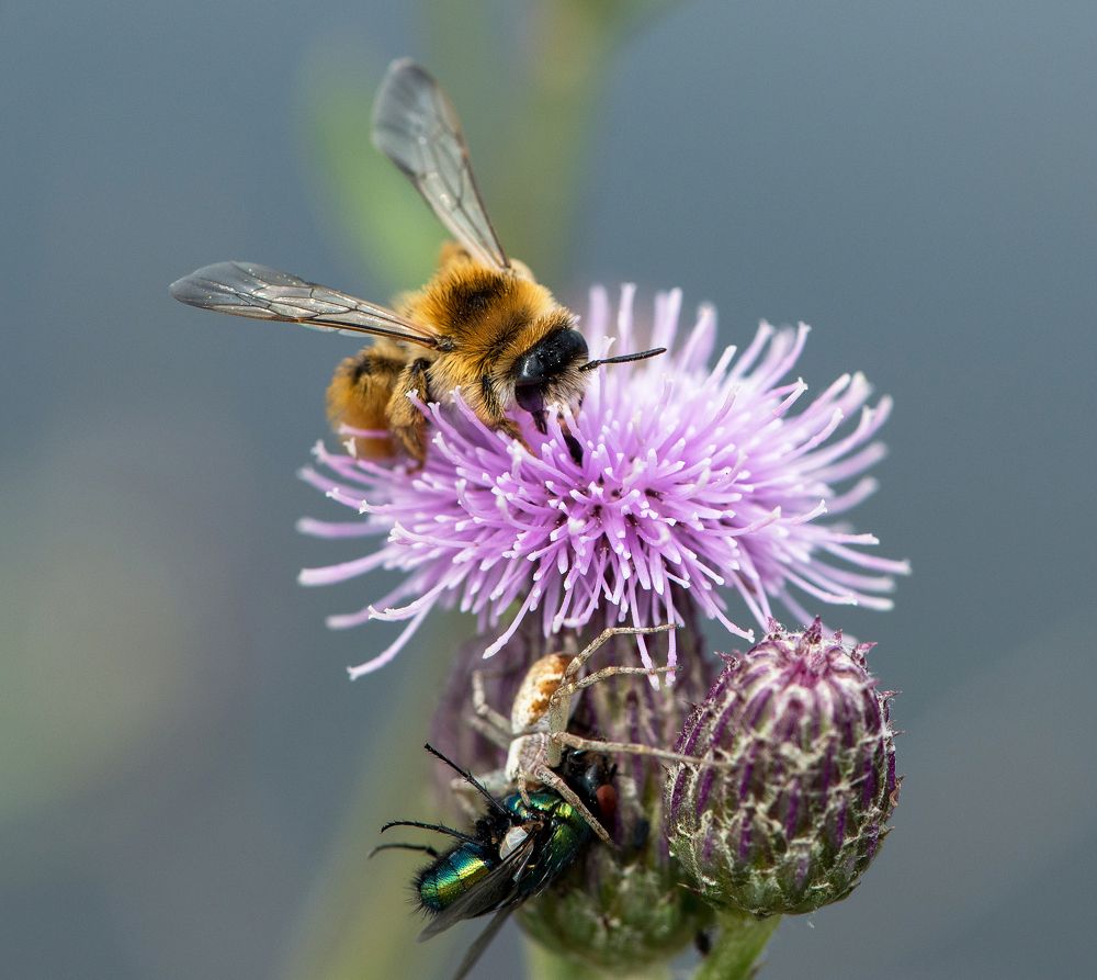 The flip side of life - Обратная сторона жизни