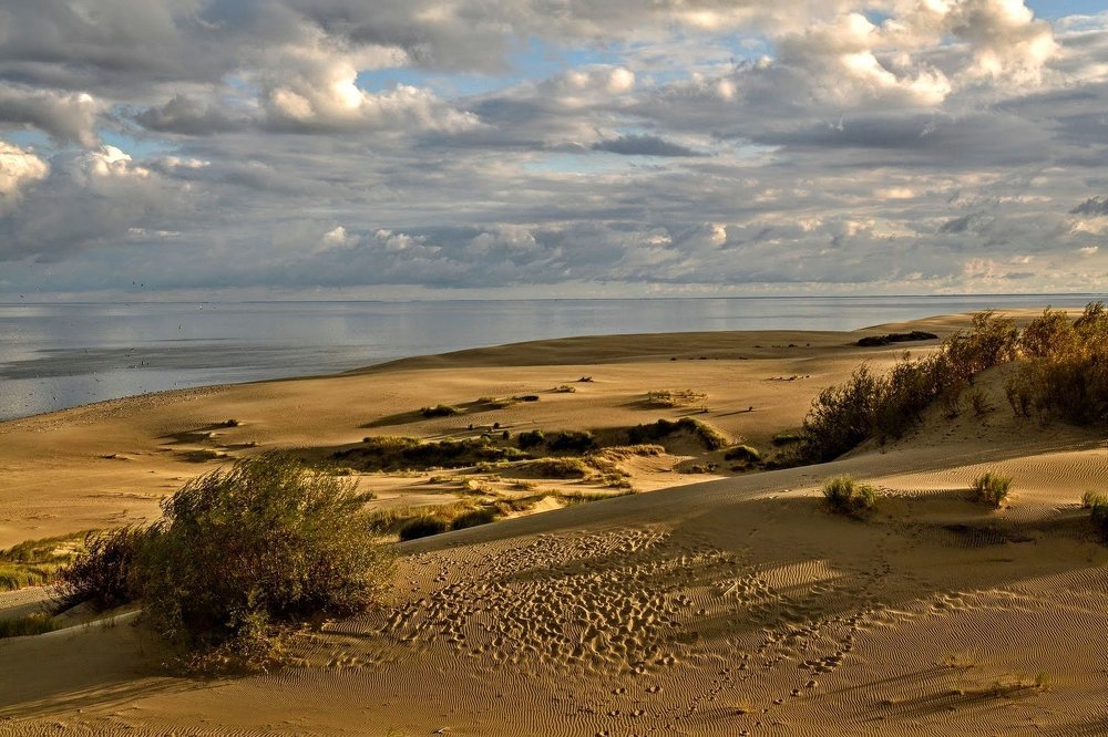 Photograph by Елена Боржковская