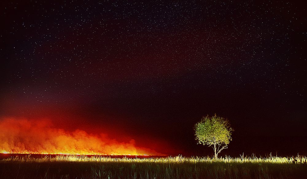 Страшная сила