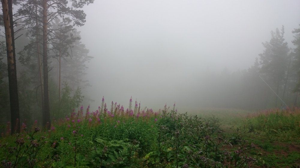 Photo #1850592