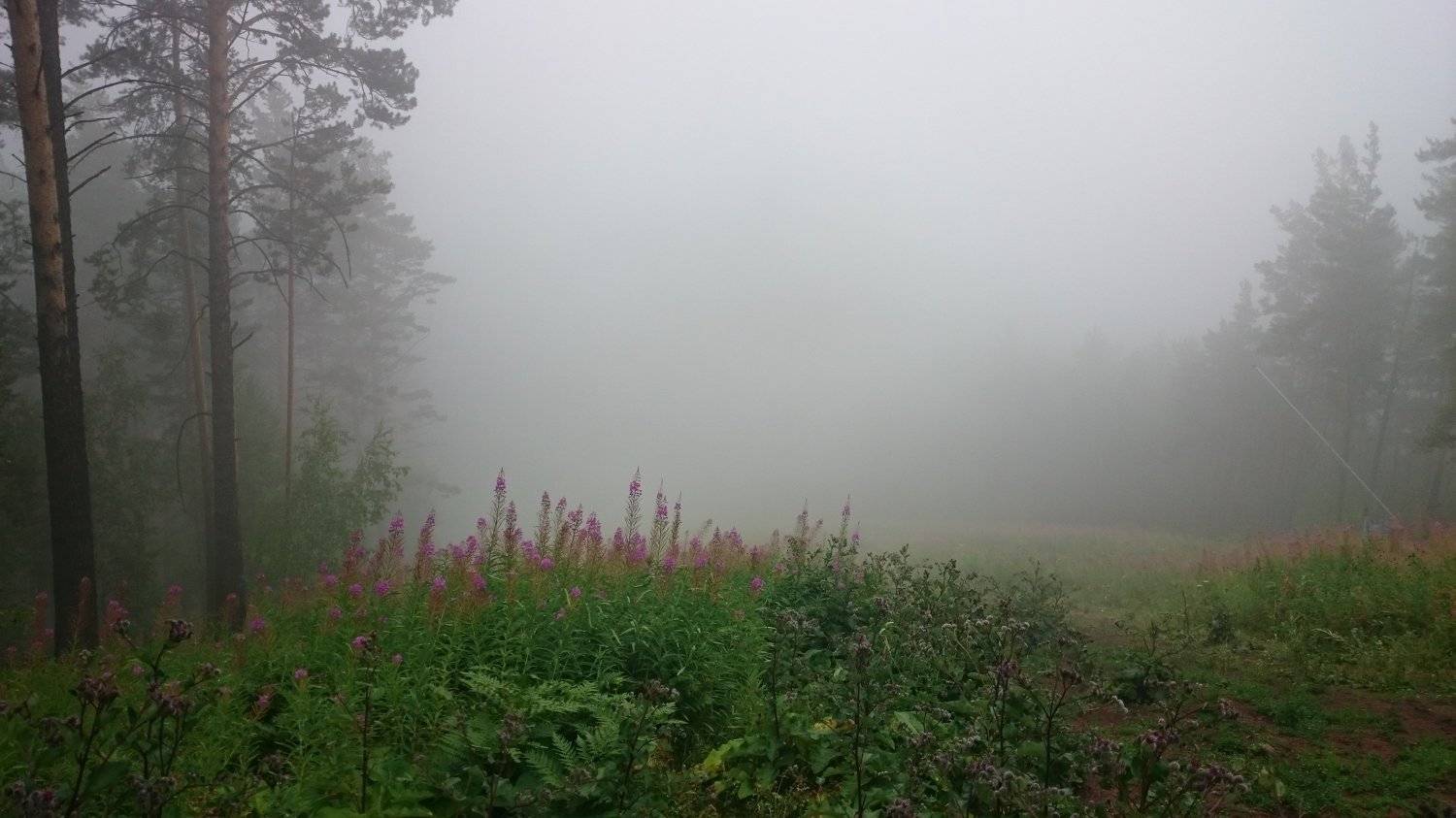 Photo #1850592
