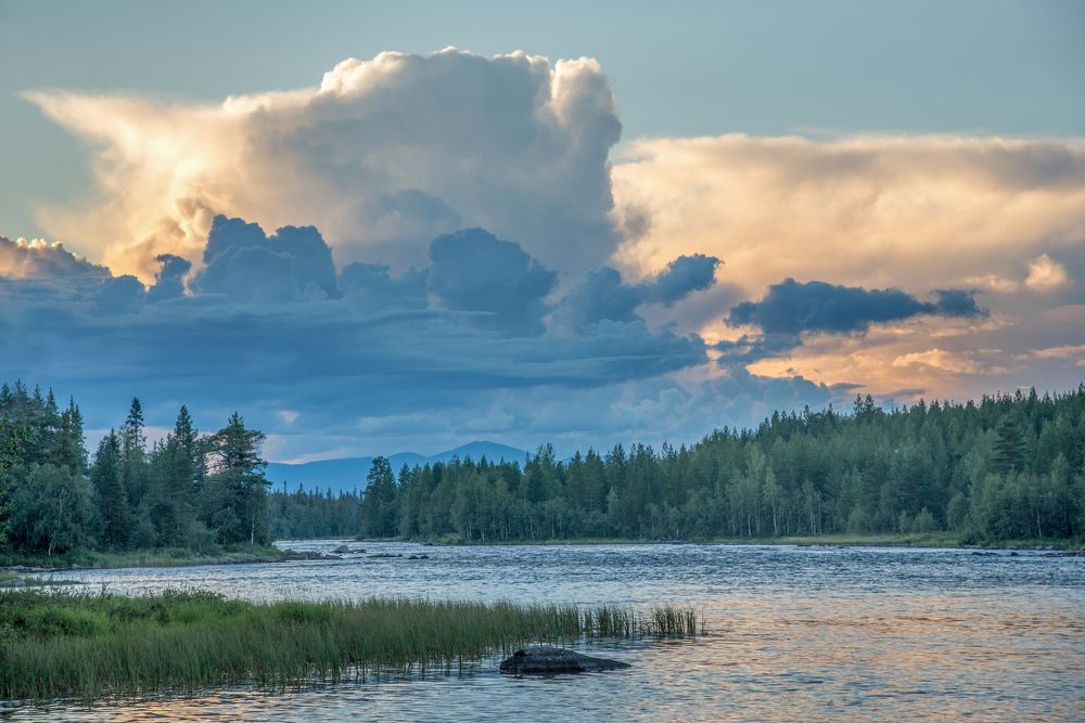 Перед непогодой.