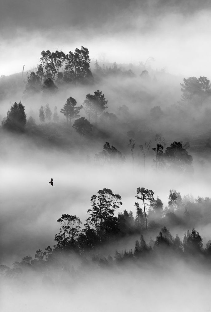 Flying by the mountain