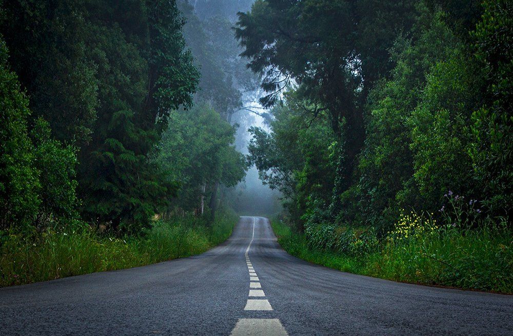 Through the mountain range