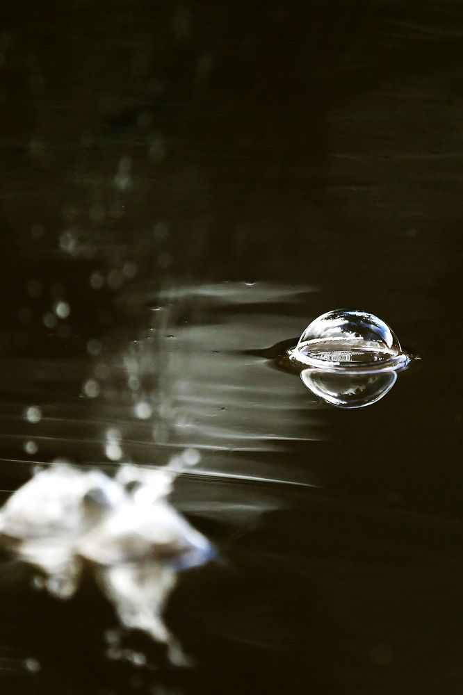 Весь мир в капле