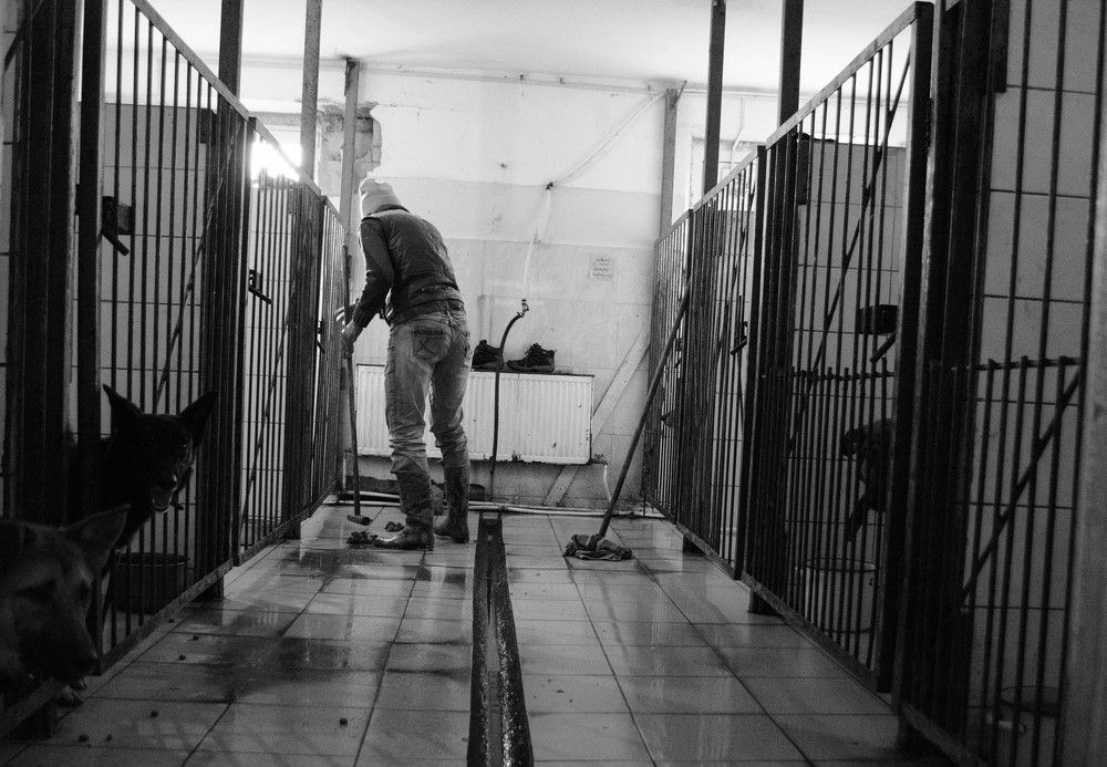 #помогатьпросто