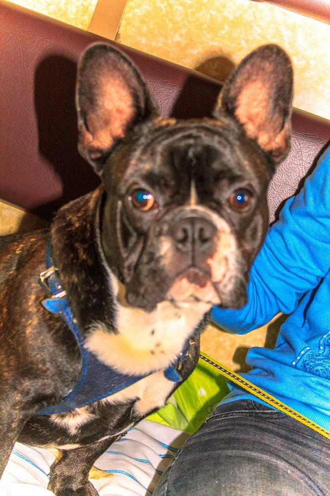 На лето - к бабушке)