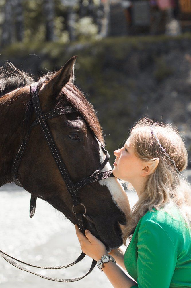 Secrets of the summer forest