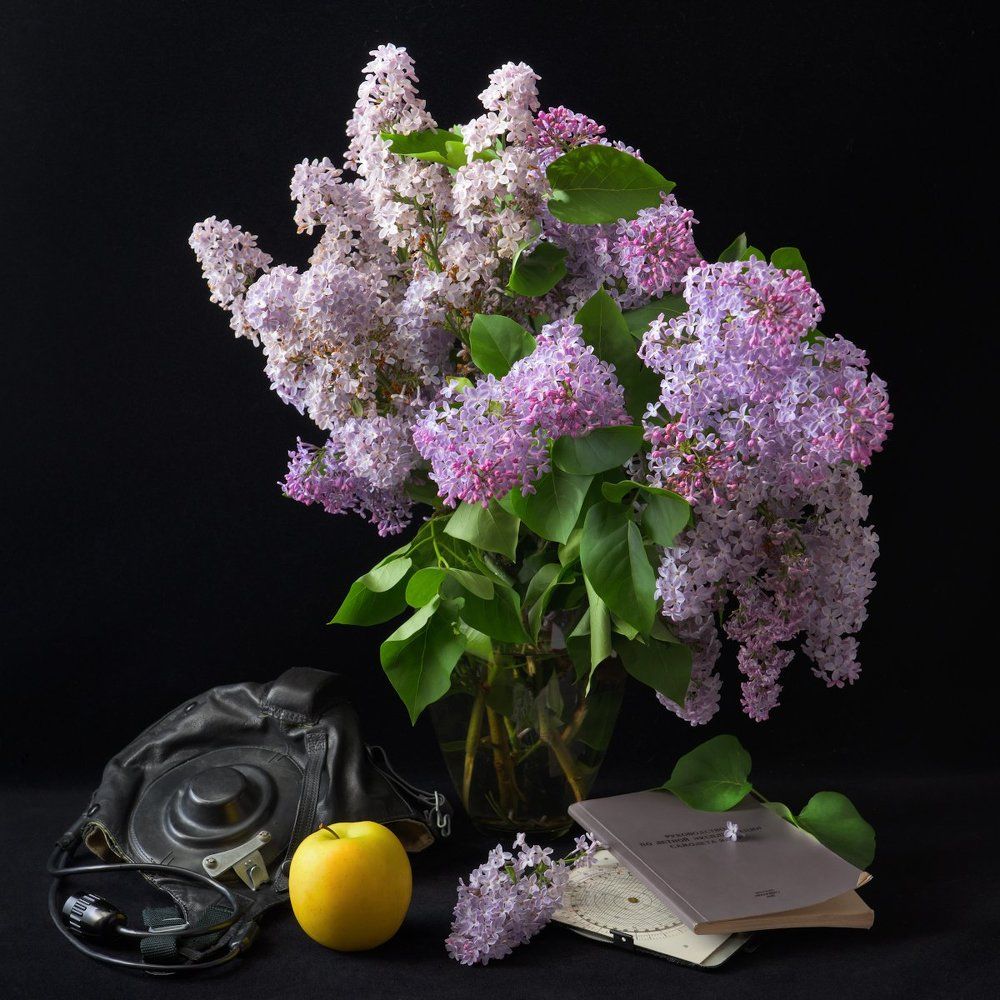 Этюд пилотский, романтический