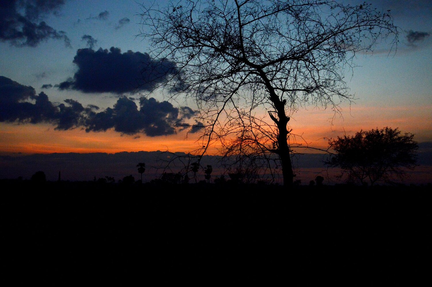 The Romantic Nature