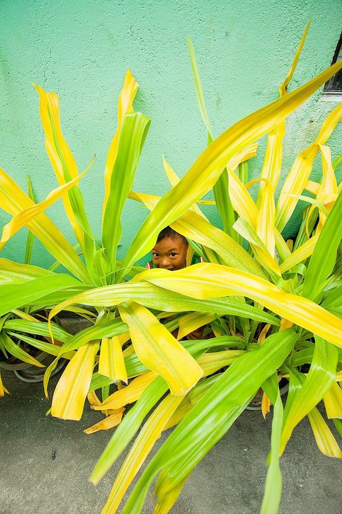 not hiding