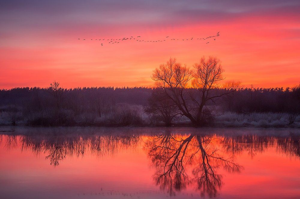 Весна - красна.